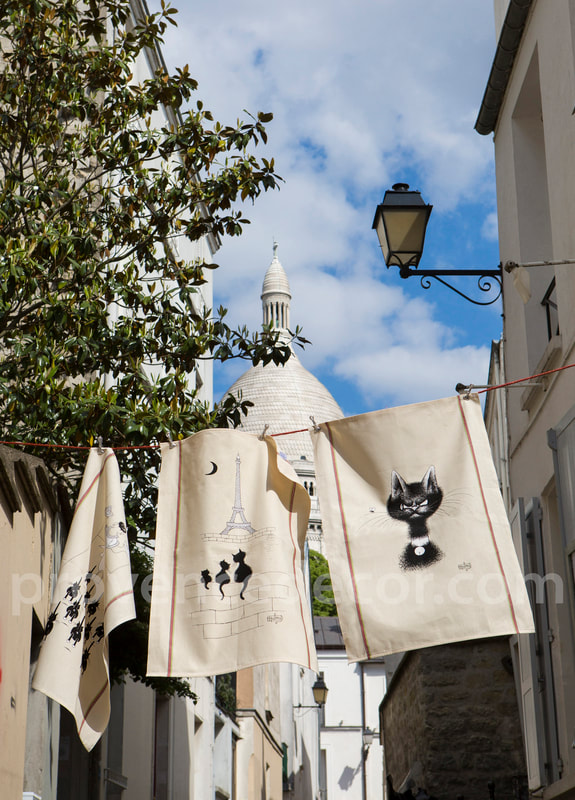 Provence Decor - Dubout Black Cats Collection French Designs Eco friendly Cotton Dishtowels