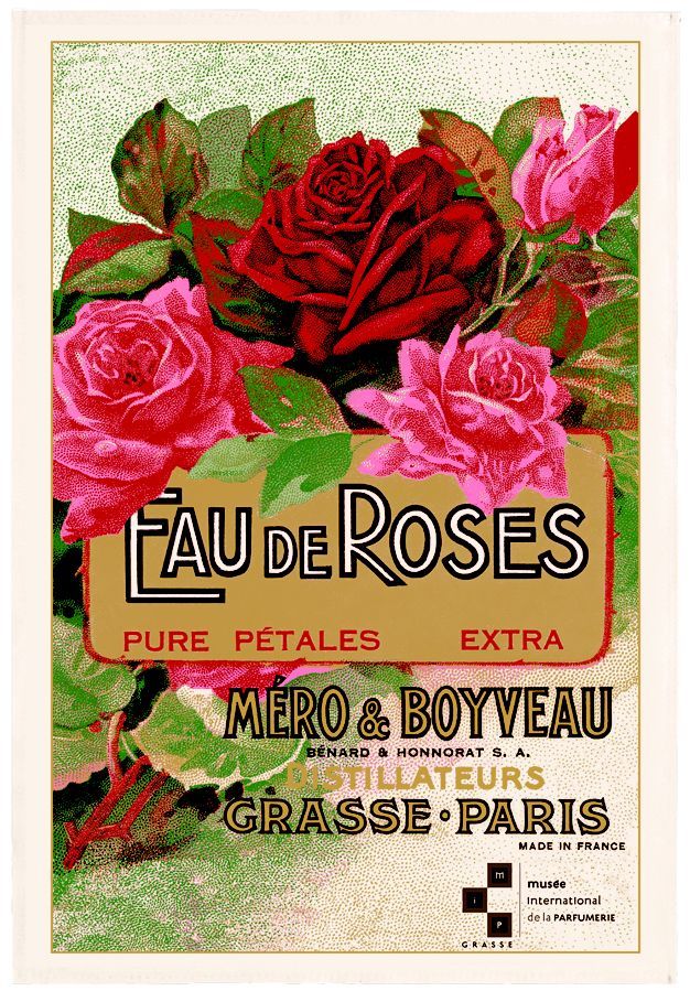 FRENCH PERFUME EAU DE ROSES Exclusive Design French Dishtowels - Elegant 100% Cotton Kitchen Towels - French Perfume Grasse Paris Lovers Dishcloths - French Fashion Perfumes Artwork Decorative Kitchen Tea Towels - Home Decor Accessories Gifts